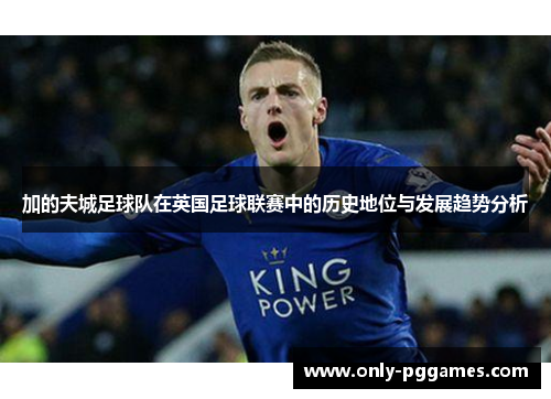 加的夫城足球队在英国足球联赛中的历史地位与发展趋势分析